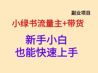 月入 4532.2 元，小绿书流量主 + 带货新手也能快速上手